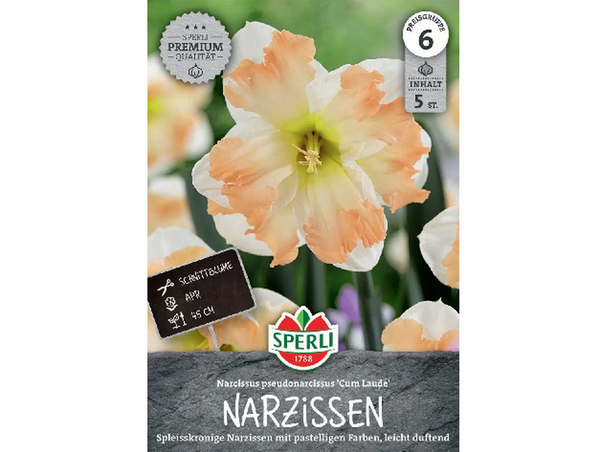 Hasadt koronájú nárcisz